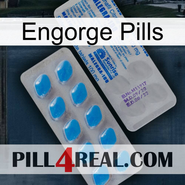 Engorge Pills new15.jpg